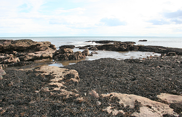 Rocky beach with seaweed-covered rocks and calm water under a cloudy sky.
